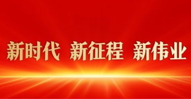 江苏省税务局电子税务局官网新时代 新征程 新伟业