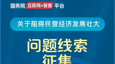 欧美美女果男人大鸡吧免费看的国务院“互联网+督查”平台公开征集阻碍民营经济发展壮大问题线索